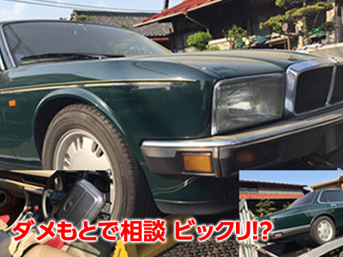 すぐに処分できて助かりました。